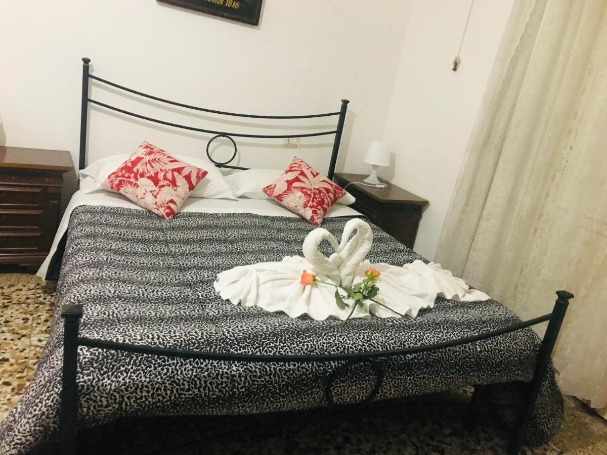Bed & Breakfast La Musa Arezzo